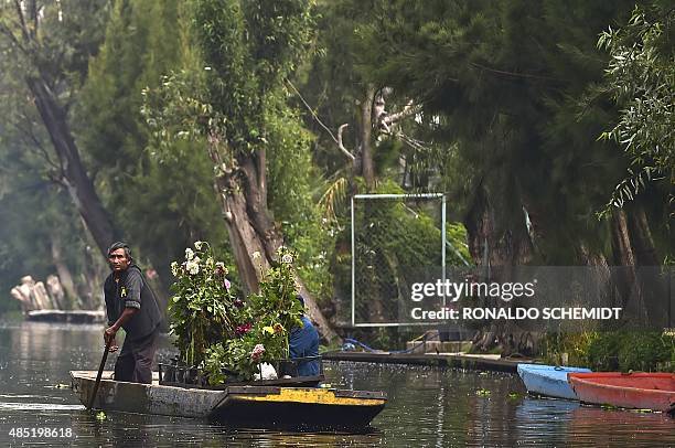Farmers use a "trajinera" -traditional flat-bottomed river boat- as transport at Xochimilco natural reserve in Mexico City, on August 21, 2015....