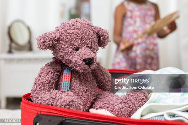 teddy bear in open suitcase - open travel bag stock-fotos und bilder