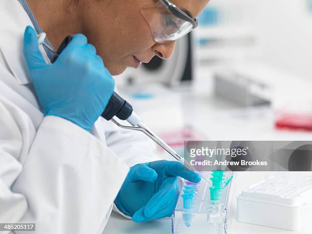 female scientist pipetting dna samples for testing - microbiologist fotografías e imágenes de stock