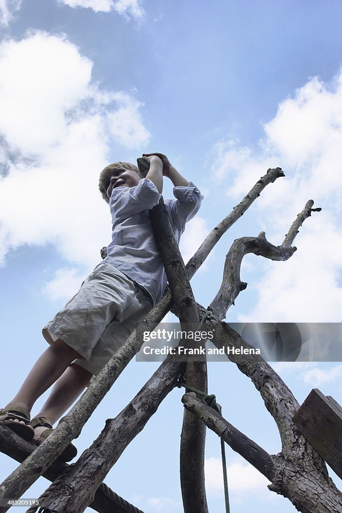 Boy climbing branch structure