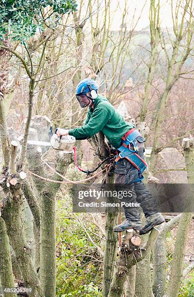 tree surgeon working up a tree using chainsaw - treetop stock pictures, royalty-free photos & images