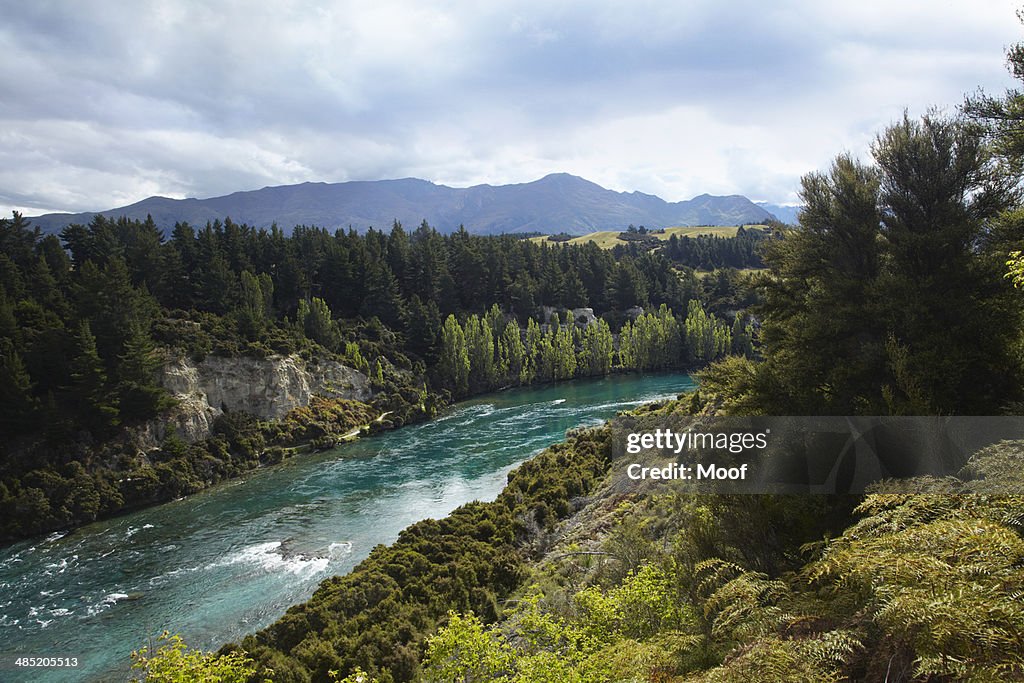 Scenic view of river, forest and mountains, New Zealand