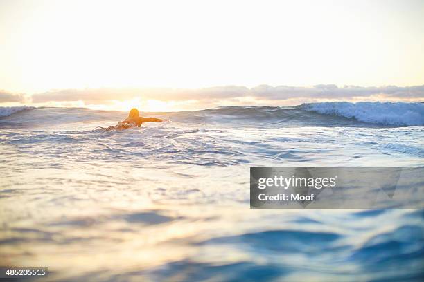 female surfer swimming out to waves on surfboard, sydney, australia - sydney beaches stock-fotos und bilder