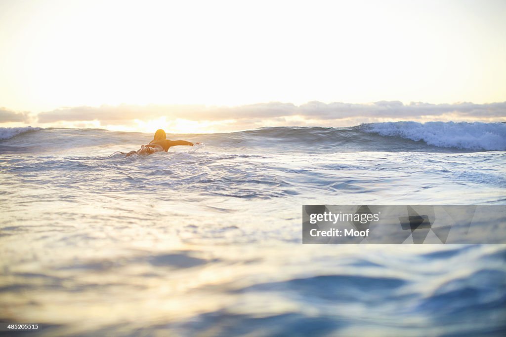 Female surfer swimming out to waves on surfboard, Sydney, Australia