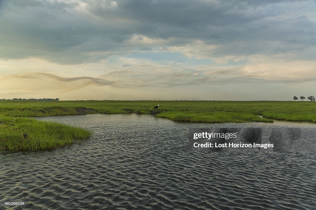 Water and grassland, Kasane, Chobe National Park, Botswana, Africa