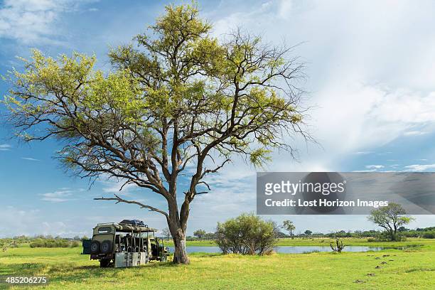 stationary safari truck, okavango delta, chobe national park, botswana, africa - safari park stock-fotos und bilder