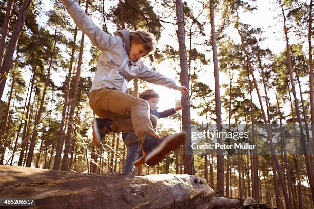 twin brothers jumping over fallen tree trunk in forest - baumstamm am boden stock-fotos und bilder