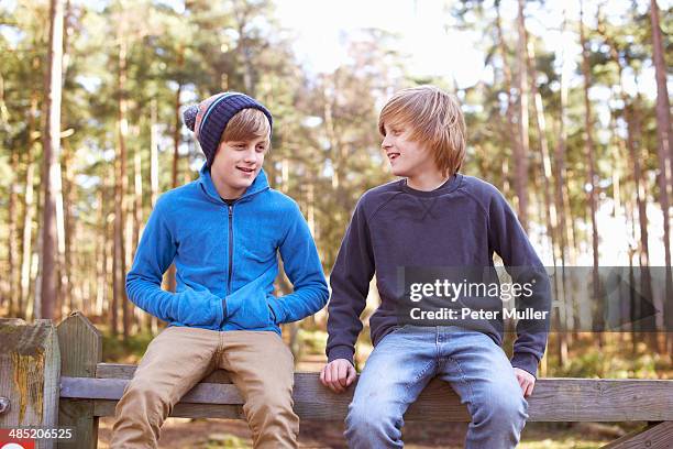twin brothers sitting on gate in forest - two boys talking fotografías e imágenes de stock