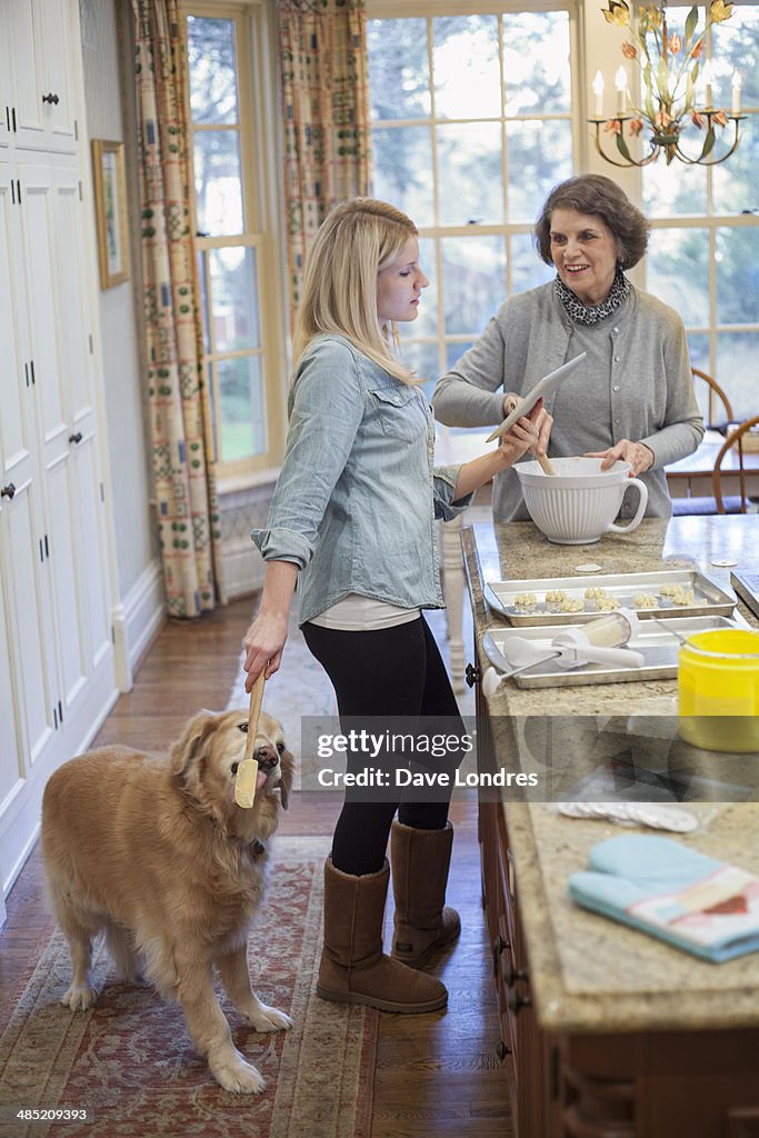 Young woman treating dog whist baking with grandmother