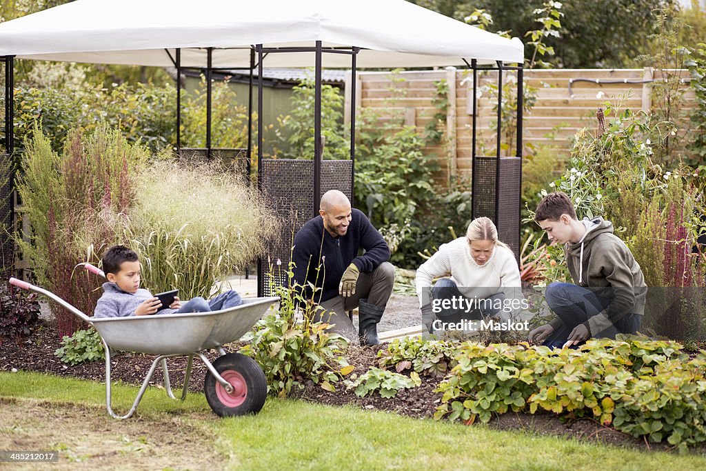 Multiethnic family gardening at yard