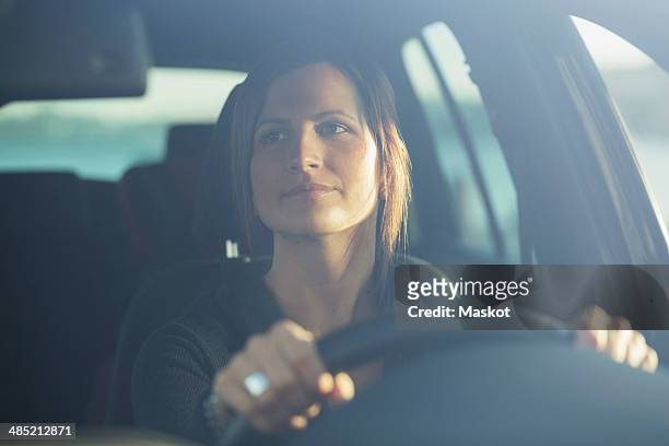 young businesswoman driving car - mujer conduciendo fotografías e imágenes de stock