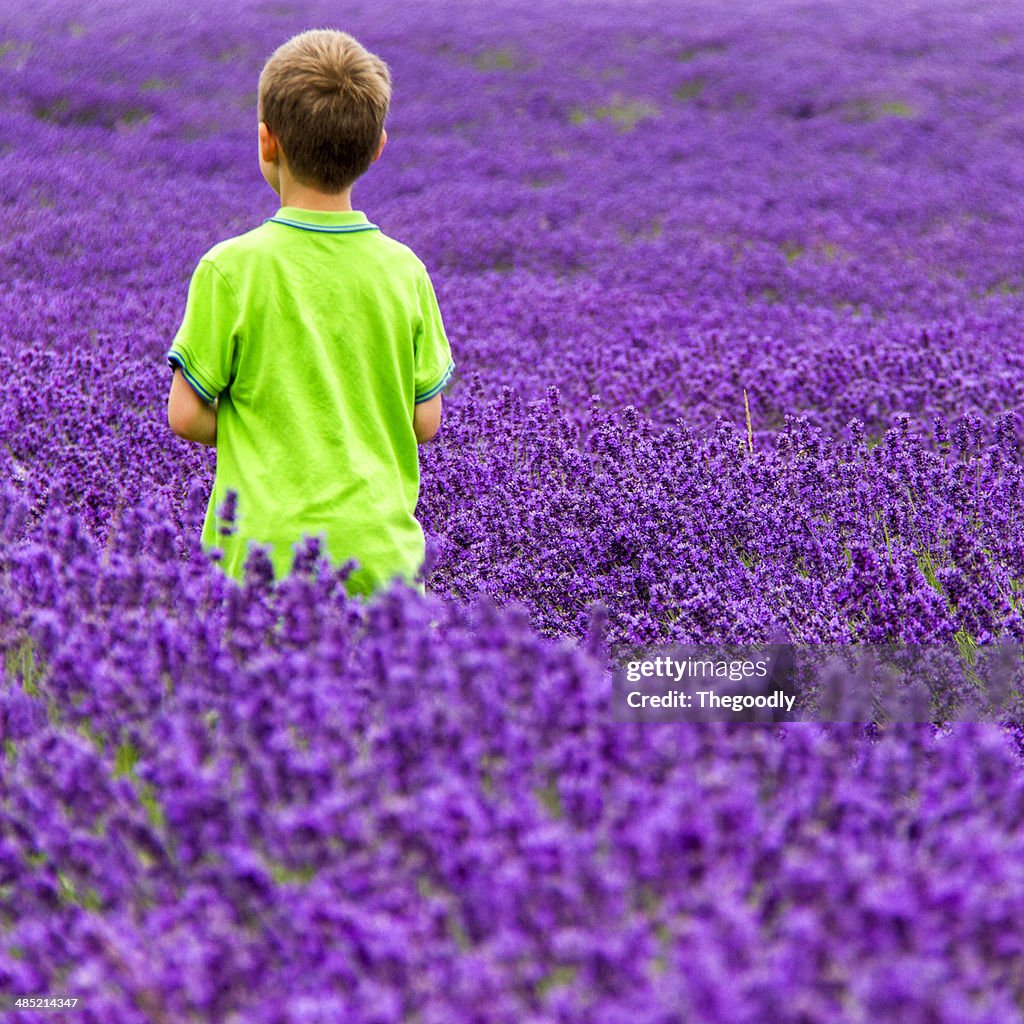 Boy walking in field