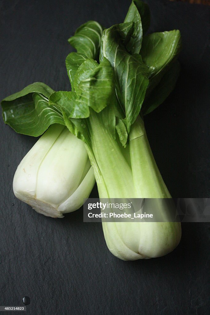 Close-up of Bok Choy