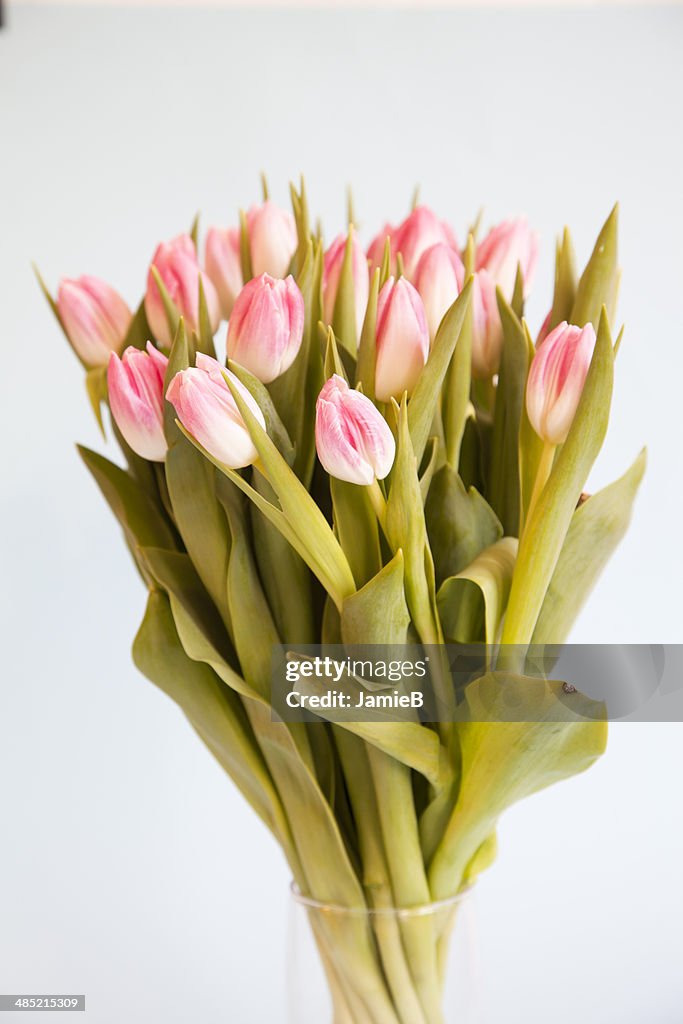 Bouquet of Pink Tulips in a vase