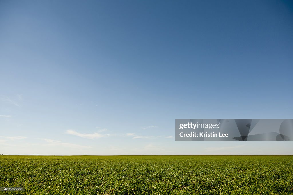 USA, Oklahoma, Rural landscape