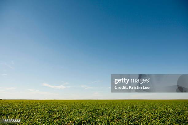 usa, oklahoma, rural landscape - v oklahoma stockfoto's en -beelden