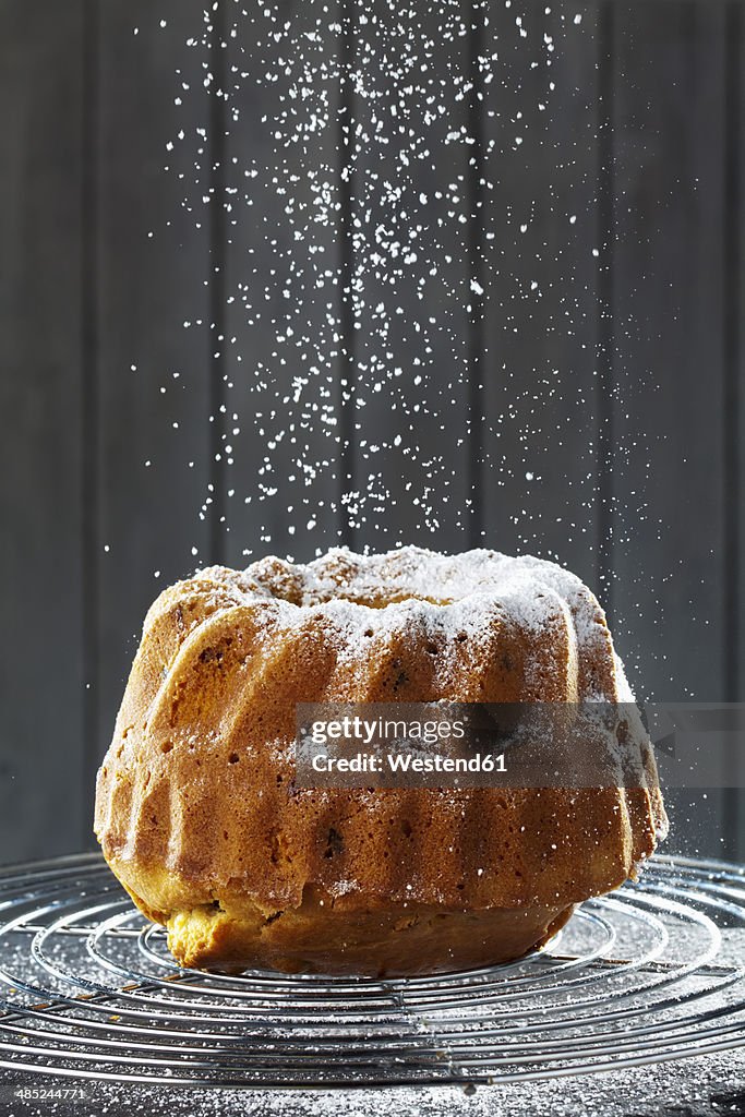 Selfmade ringcake with cranberries and apricots on baking grid sprinkling with powdered sugar