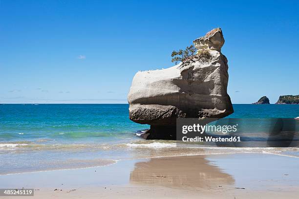 new zealand, coromandel peninsula, cathedral cove, rock at beach - halbinsel coromandel peninsula stock-fotos und bilder