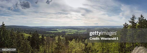 germany, bavaria, fichtel mountains, on the summit of waldstein mountain range - upper franconia stock pictures, royalty-free photos & images