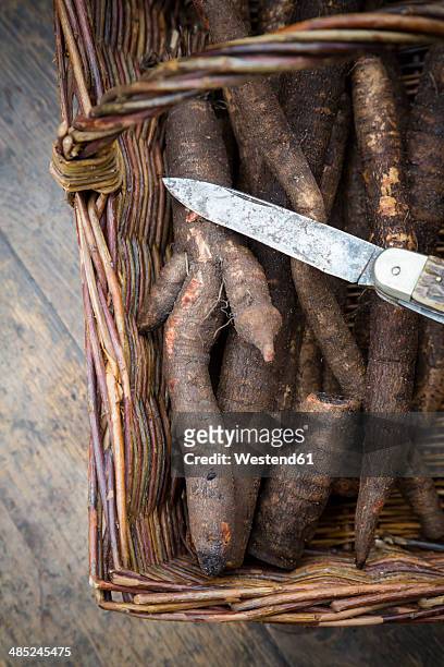 black salsifies (scorzonera hispanica) with kitchen knife in basket on wooden table - salsify stock-fotos und bilder