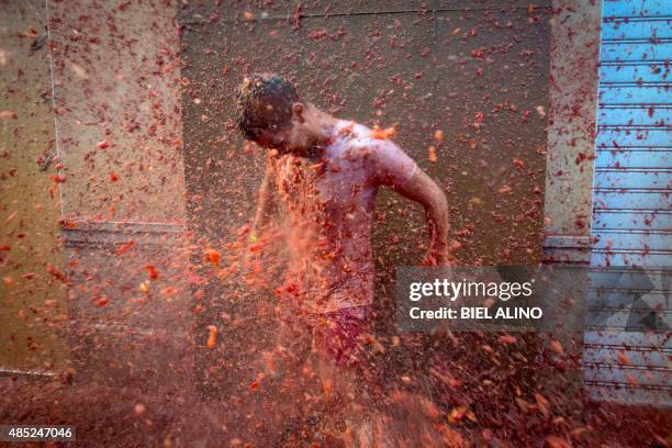 Reveller is pelted with tomato pulp during the annual "tomatina" festivities in the village of Bunol, near Valencia on August 26, 2015. Some 22,000...