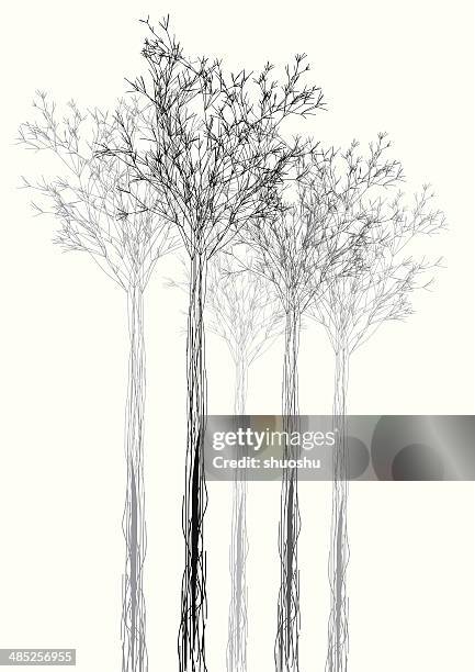 illustrazioni stock, clip art, cartoni animati e icone di tendenza di astratto bianco e nero forme sfondo albero di - plant part