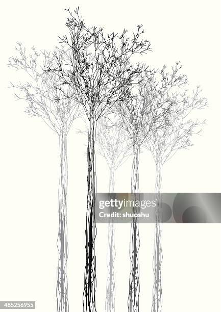 stockillustraties, clipart, cartoons en iconen met abstract black and white tree shape background - potloodtekening