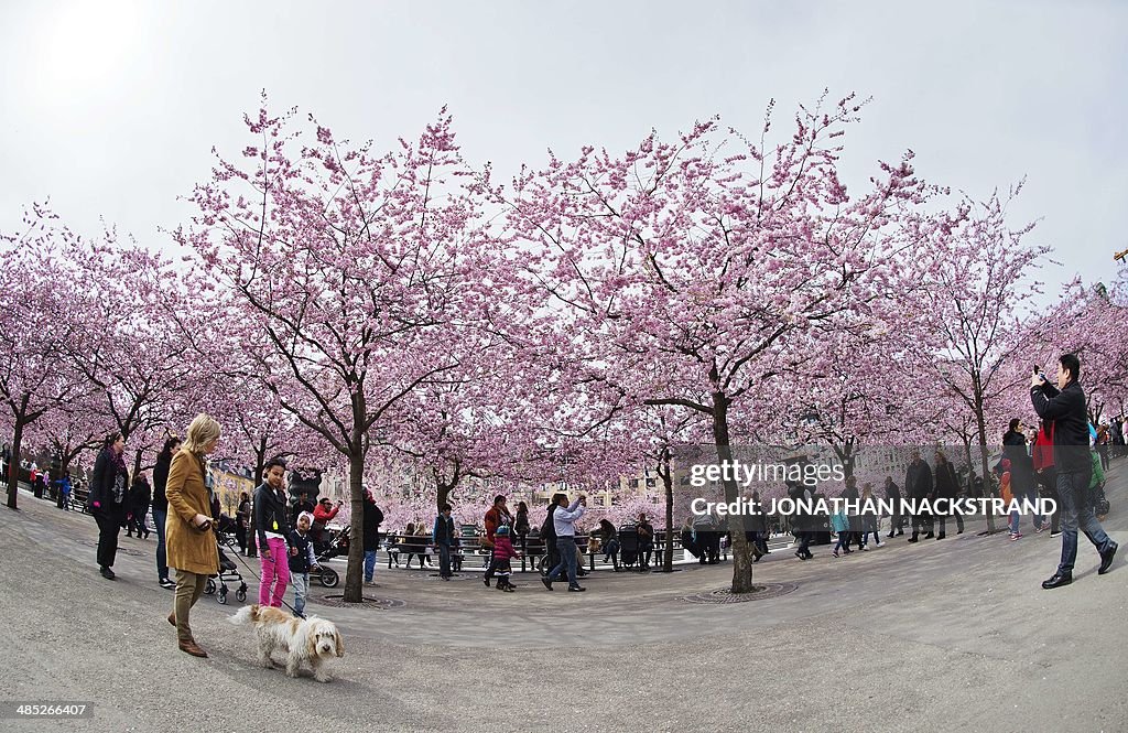 SWEDEN-WEATHER-SPRING