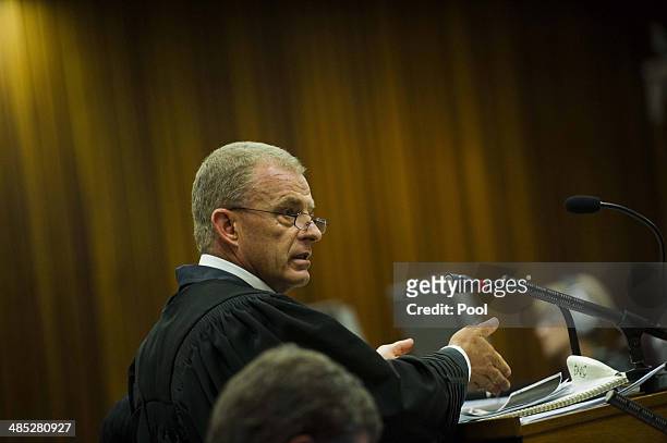 Prosecutor Gerrie Nel questions forensic geologist, Roger Dixon, in the Pretoria High Court on April 17 in Pretoria, South Africa. Oscar Pistorius...