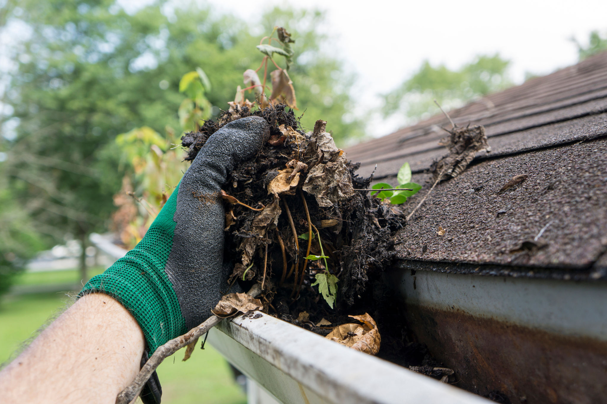 roof gutter debris