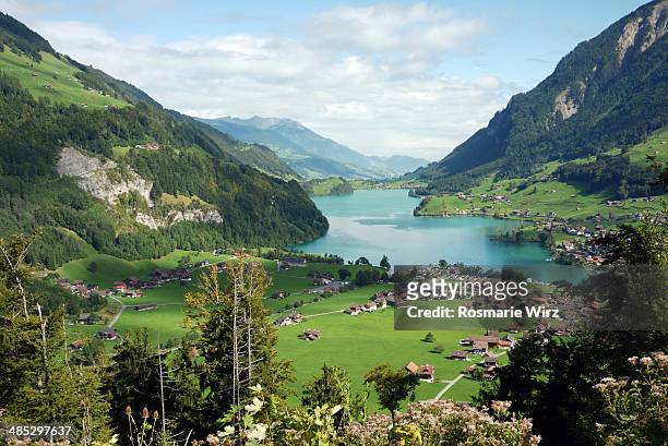 view of lake lungern - lungern stock pictures, royalty-free photos & images