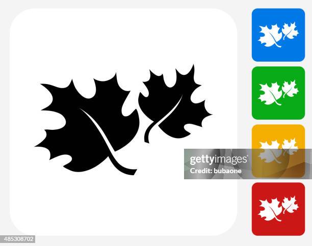 fall maple leaves icon flat graphic design - maple tree white background stock illustrations