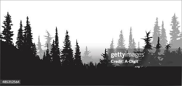 ilustrações de stock, clip art, desenhos animados e ícones de floresta nacional de pines - contorno