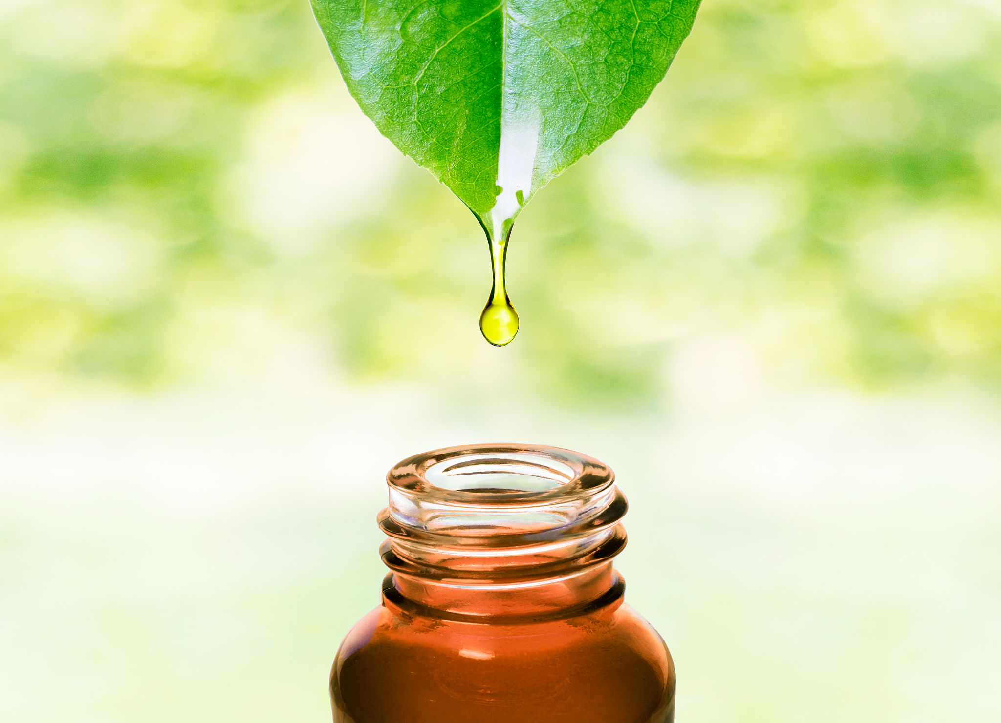organic oil