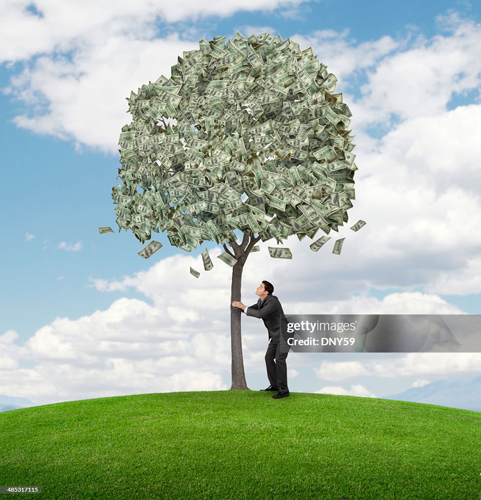 Shaking Money Tree High-Res Stock Photo - Getty Images