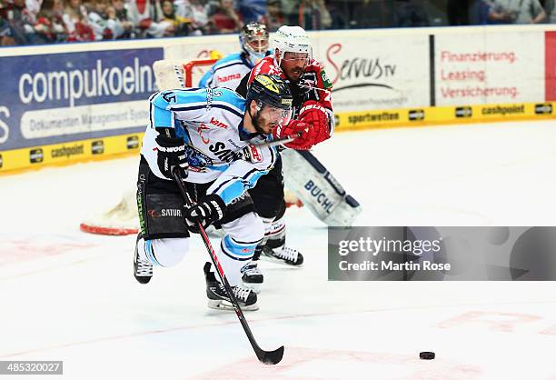 John Tripp Koeln and John Laliberte of Ingolstadt battle for the puck in game one of the DEL final play-offs between Koelner Haie and ERC Ingolstadt...