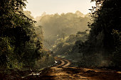 Dirt road in the jungle