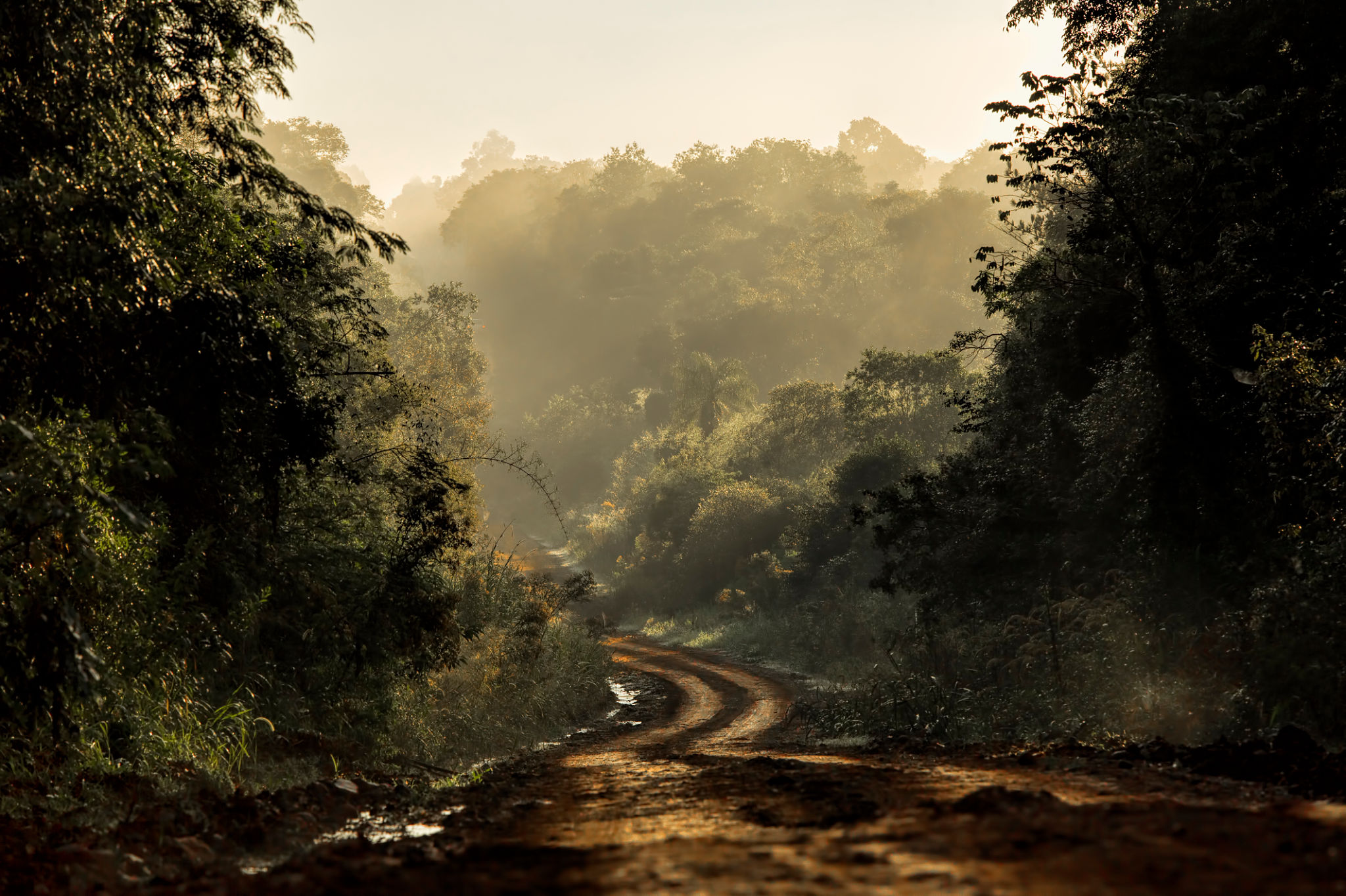 off-road driving
