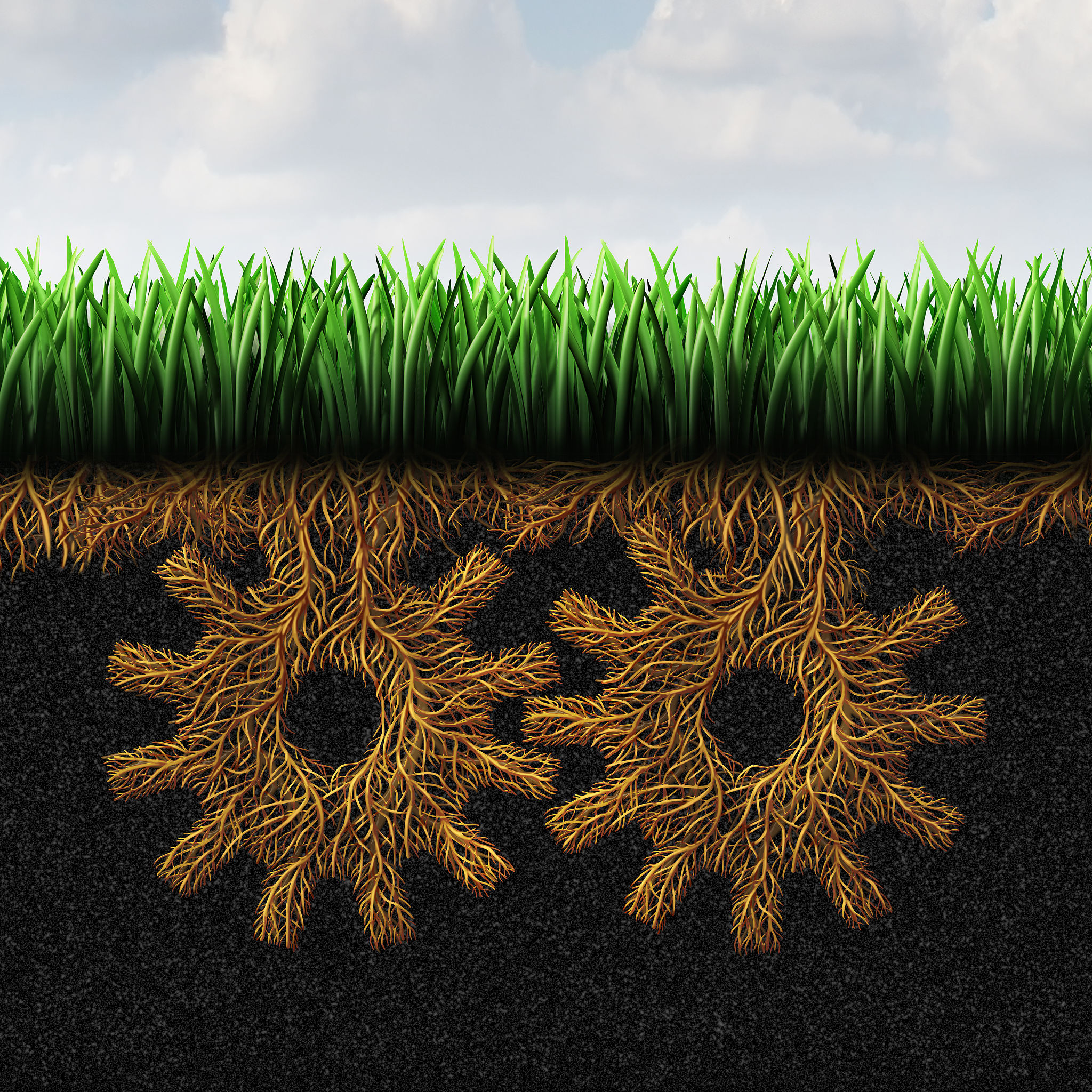 grassroots movement