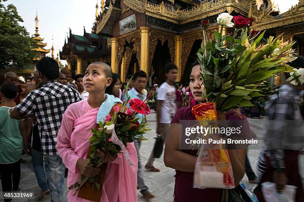 Burmese come to pray at the Shwedagon pagoda to celebrate Thingyan, a New Years Water festival, April 17, 2014 in Yangon, Myanmar. Thingyan is...