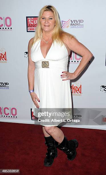 Adult film actress Ginger Lynn attends The BIG Annual 30th XRCO Awards hosted by Ron Jeremy held at OHM at Hollywood & Highland on April 16, 2014 in...