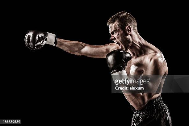 angry boxer - punching stock pictures, royalty-free photos & images