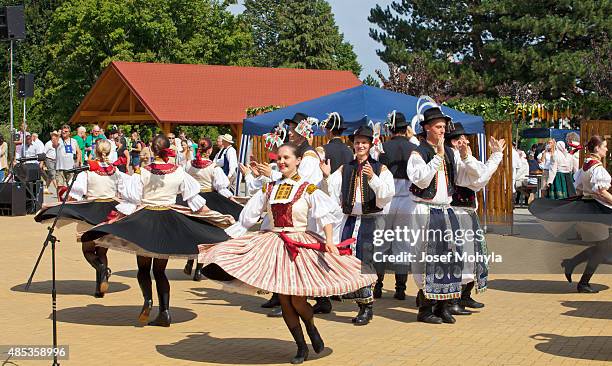 folk ensemble  dancing and singing - czech republic wine stock pictures, royalty-free photos & images