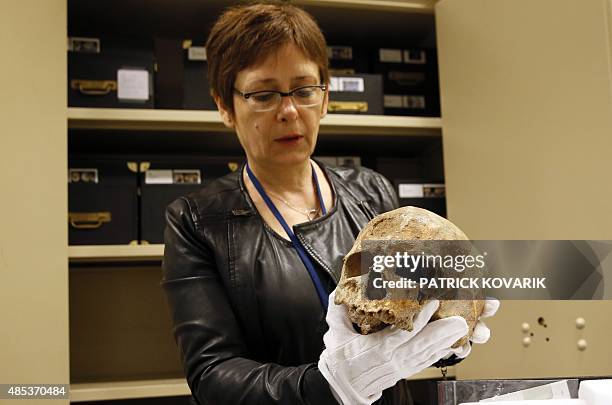 Liliana Huet, collection manager of the Museum of Man , presents the skull of the Cro-Magnon man from a box at the archives of the museum on August...