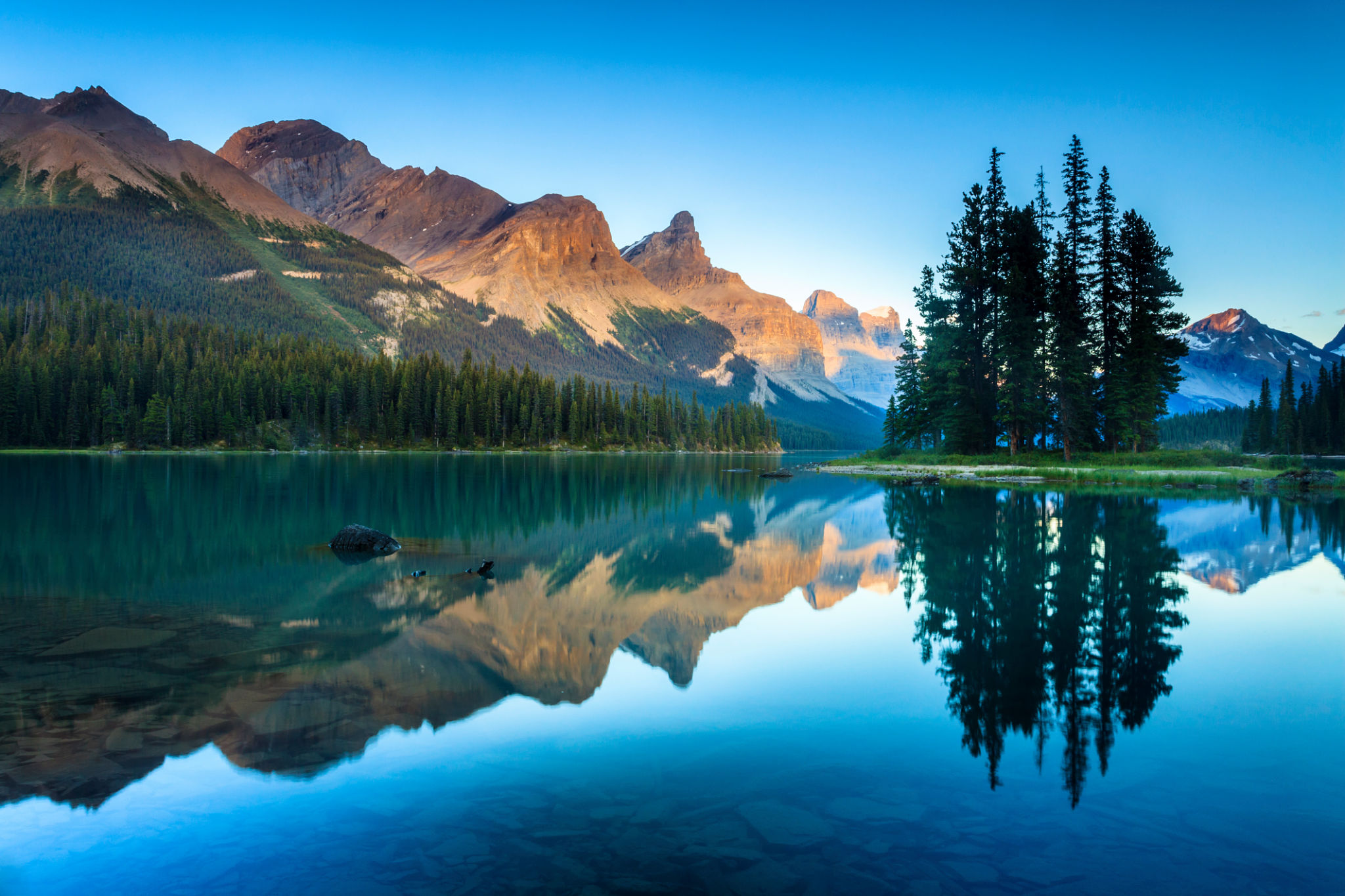 summer landscape