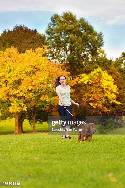 young woman walking with pet puppy poodle in nature - standard poodle stock pictures, royalty-free photos & images