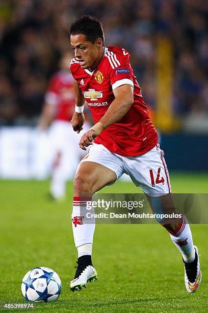 Javier Hernandez of Manchester United in action during the UEFA Champions League qualifying round play off 2nd leg match between Club Brugge and...
