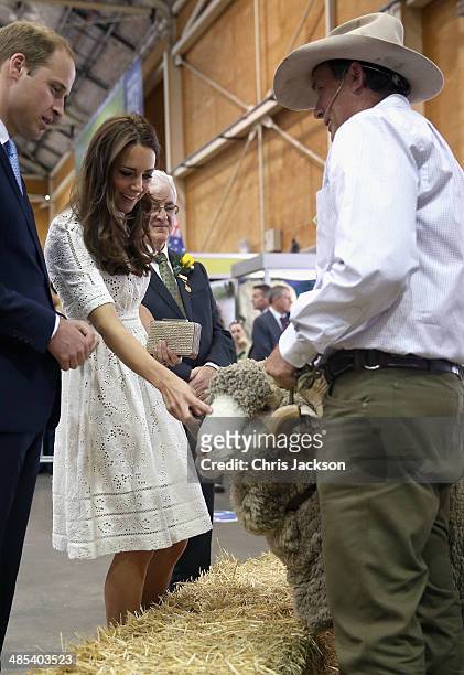 Catherine, Duchess of Cambridge and Prince William, Duke of Cambridge meet a ram called Fred as they visit the Sydney Royal Easter Show on April 18,...