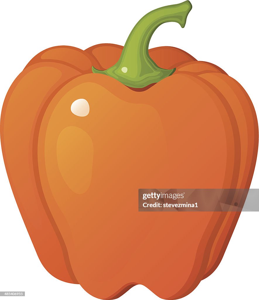 Orange Bell Pepper