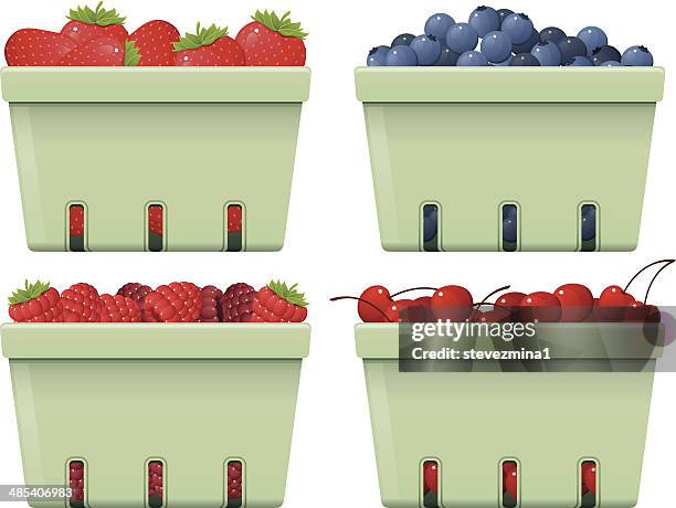 fruit baskets - blackberry fruit vector stock illustrations